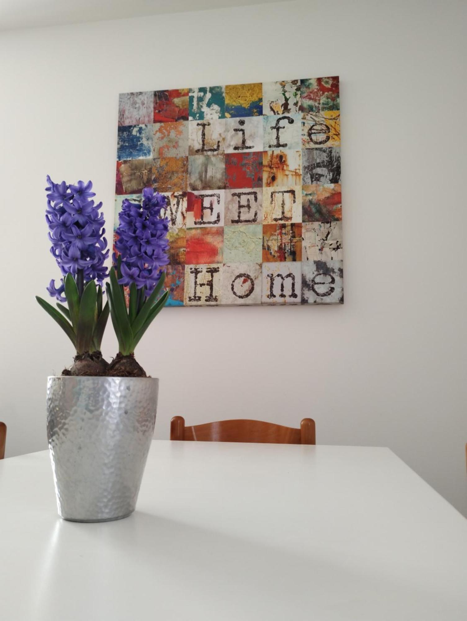 Nido Sul Garda Apartment Castelnuovo del Garda Luaran gambar